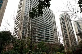 兰园7.8万元/㎡再被捡漏！中城汇法拍首秀结果如何？图片