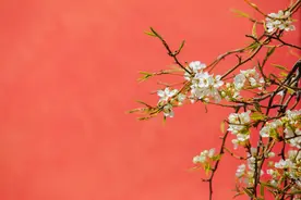 从孝庄到甄嬛，慈宁宫藏着多少秘密？图片