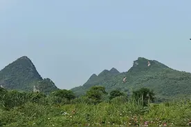 诡辩释义57：强人所闻图片