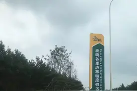 保护生态！号称“坐拥289万平方米森林谷地”的长春鹿鸣谷土地被收回图片