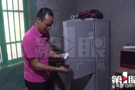 稀奇！老母鸡竟然下起了“翡翠蛋”成因目前还是谜图片