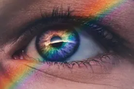禁足的春节假期，揭开了现代生活魔盒中的哲学寓言图片