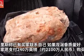 一夜暴富！渔民在海边捡“石头”，竟价值2100万图片