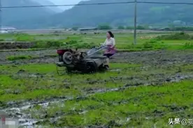 福建农村单亲母亲沈丹不愧为女人中“男子汉”，没有事情她不会做图片