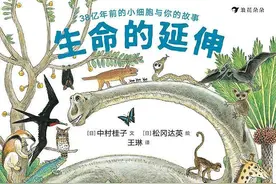 “妈妈，我从哪里来？”|《生命的延伸》帮你解决“世纪难题”图片
