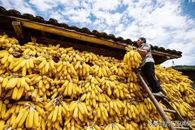 如果不进口国外粮食，中国生产的粮食够中国人吃吗？图片