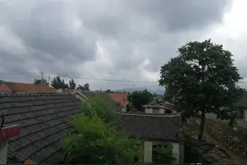在外游子回到栖霞农村，老家的一草一木在他眼里都是美景图片