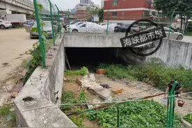 什么情况？泉州市区这一小区，地下车库废弃积水，还有人种菜图片