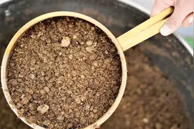 “藏医药浴法”正式列入非遗名录 让中医药更加自信走向世界视频封面