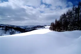 太极养生音乐《雪落下的声音》图片
