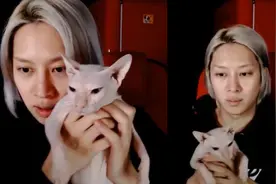 金希澈直播承认领养雪莉的猫，曝无法参加韩庚婚礼视频封面