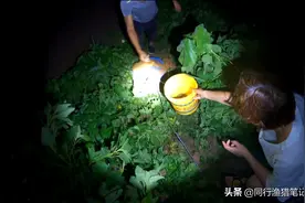小清河翻河，20斤大鱼频出，满河都是逮鱼人，这些鱼能吃吗？图片