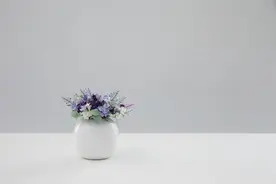 和女人相处，少说情话，攻心为上图片