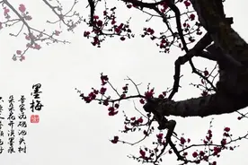 盛开在古诗词里的梅花，除了常见的红色，还有很多种颜色？图片