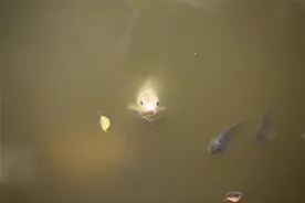 这三种人，佛也渡不了，希望没有你图片