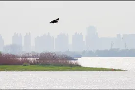 彩色港｜水边即景：一江春水向东流  钓鱼轮滑无忧愁图片