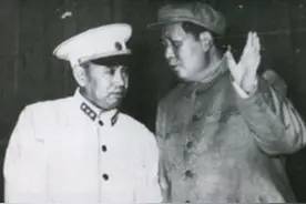56年中央签署火葬倡议书，许世友却拒绝签字，毛主席：你是和尚嘛图片