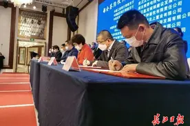 黄陂区银企对接现场签约超百亿元，全力支持企业复工复产图片