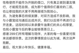 网红二辰发文撇清和小霸宠的关系，吃完红利甩锅跑路图片