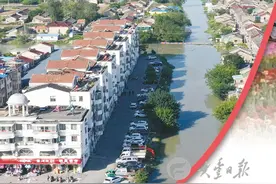 江苏省盐城市大丰区新丰镇：深入践行“两海两绿”奋力争当高质量发展示范镇图片