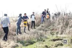 尽锐出战——应城市陈河镇夯实乡村振兴基础纪略图片