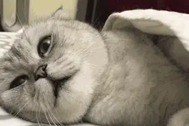 搞笑GIF：女朋友生气时不想理你的样子图片