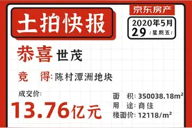 13.76亿+300㎡无偿配建，世茂13.76亿夺得陈村潭洲地块图片