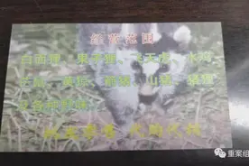 刹不住的野味交易：武汉商家称可节后订土拨鼠，佛山一市场暗售果子狸图片