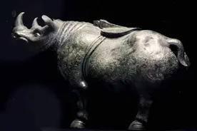 为了满足人类“壮阳”需求，它们濒临灭绝，人类却一点都没长进图片