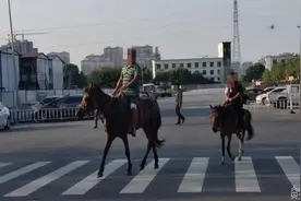 公路不是跑马场 骑马父子被约谈图片