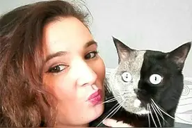 极其罕见的双色脸猫生的小猫图片