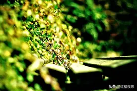 稻盛和夫的《心》：心不传唤，物不至图片