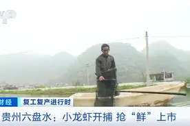 您的“麻小”正在配送！贵州六盘水：小龙虾开捕，抢“鲜”上市图片