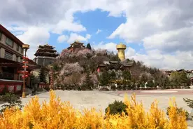 香格里拉：山寺桃花始盛开，月光古城引客来图片