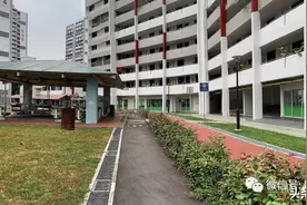 新加坡29岁男子棍棒打死妹妹，只因她不听话图片