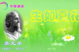 生如夏花之绚烂视频封面