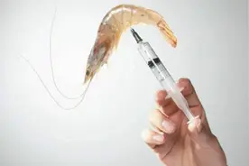 求放过！再喂宝宝吃这样的海鲜辅食，只会营养不良甚至危害健康图片