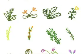 非常全面而又清新可爱的植物简笔画，再也不怕孩子的画画难题了图片