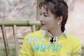 ​《妻子5》开播：秦海璐、林峯夫妇我忍了，蒋勤勤夫妇不忍直视图片