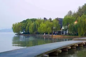 柳浪闻莺 且行且听图片