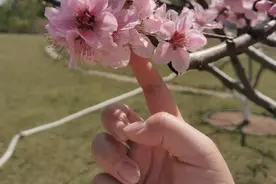 罗庄区黄山镇木柞小学美术课:小小折纸，折样战役图片