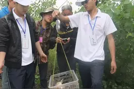 还你一双慧眼，教你一眼看破黑坑放鱼和回鱼中的猫腻图片