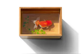 一位艺术家用树脂绘制的3D画作图片