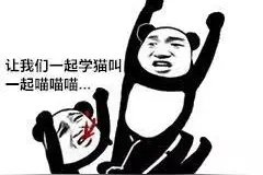 这些令人迷惑的歌词，看完我整个人都不好了图片