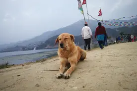 尼泊尔探索之旅第二大城市博卡拉印象图片