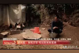 身残志坚“山鸡哥”，6年养鸡规模上万只，自食其力扔掉“贫困帽”图片