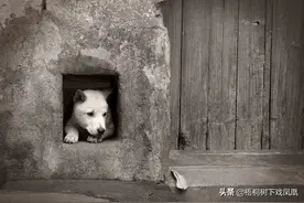 墓室一侧竟然设置“狗洞”，考古人员想了想，恍然大悟，太狡猾了图片