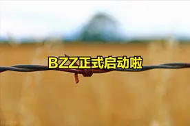 BZZ价格开始上了交易所，你知道第一梯队产量多少吗？图片