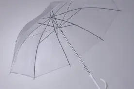 “我有时候宁愿淋雨都不愿意打这种伞”！知名主持人言论引争议，网友吵翻图片