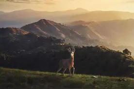 人生就是一场旅行·不在乎目的地·在乎的应该是沿途的风景图片